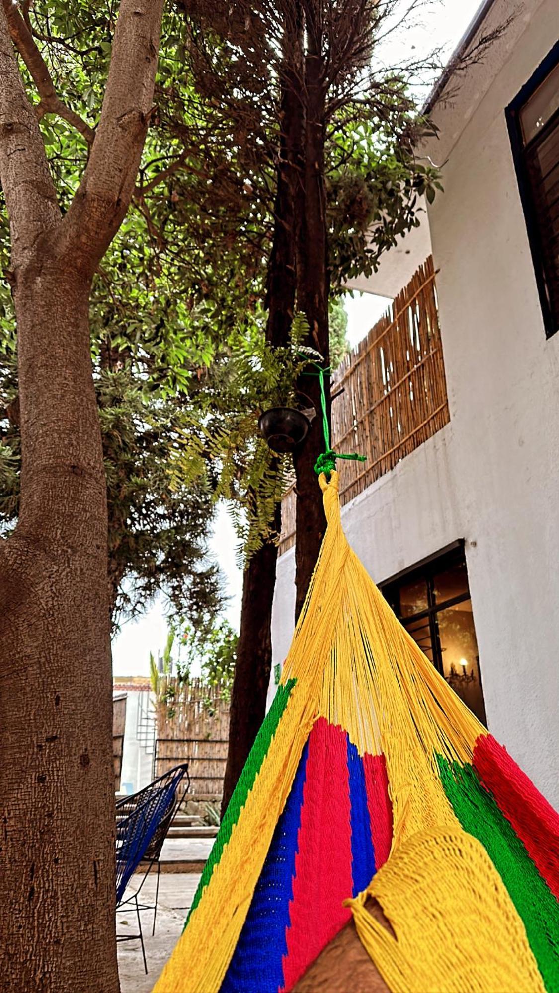 Xitla Hostel Oaxaca Bagian luar foto